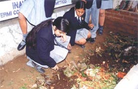 Students demonstrate vermi techniques at Bal Bharti