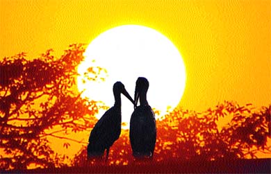 A peck for 2003