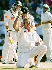 Englands Andrew Caddick has his ears tugged on by Richard Dawson after Caddick took the wicket of Australias Justin Langer 