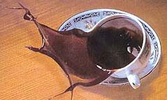 Coffee stains on varnished surfaces can be removed with glycerine solution