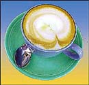 Never use bleach to remove tea or coffee stains from coloured fabrics