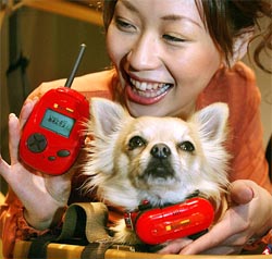 A model displays Japanese toymaker Takara Co's "Bowlingual" device