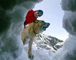 Avalanche rescue dog 'Droll' and Bavarian Alpine rescue worker Thomas Heifling