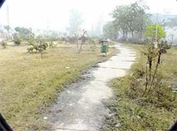 A park in a state of neglect 