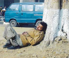 Having a siesta