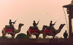 BSF jawans ride on camels during a rehearsal