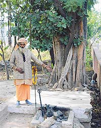 The three tree triveni at the site