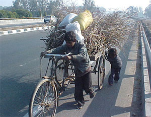 Two kids carry firewood on a tri-cycle