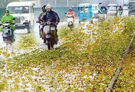 Drivers on city roads had a tough time on Friday. 