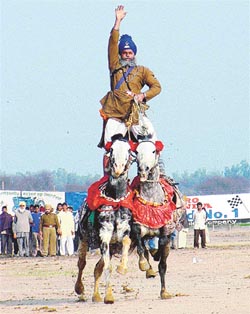 Maghar Singh from Damdama Sahib displays his skill at Kila Raipur Rural Sports Festival