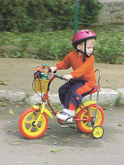 A toddler on his tricycle joins the annual Terry Fox run