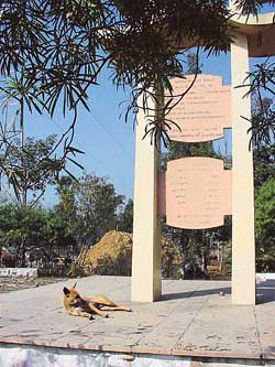 A dog relaxes near the memorial