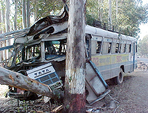 The Haryana roadways bus was damaged after it collided with a tree on Ambala-Jagadhari road in Ambala on Tuesday