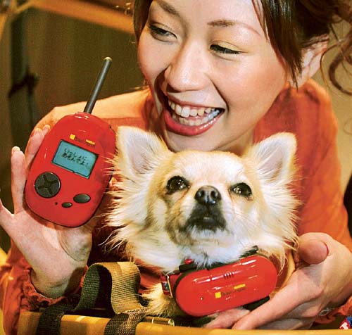 A model displays Japanese toymaker Takara Cos Bowlingual device, which the company says translates dog emotions, in Tokyo.