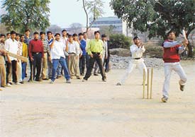 Cricket fever