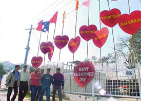 LOVE AND CRICKET GO TOGETHER
