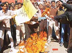Students of DAV College burn the effigy of St Valentine to protest against public display of affection and socialisation, during Valentines Day