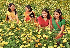 Members of the Manipuri Students Association, Chandigarh, in traditional dress pose for a photograph in Panjab University