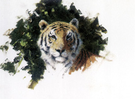 Shepherds half-complete painting, Tiger Fire