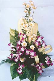 Orchids and other exotic flowers are the latest craze