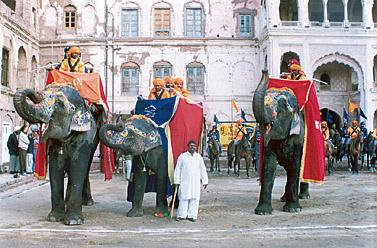 Caprisoned elephants get ready for taking part in a procession in front of Quila Mubarak 
