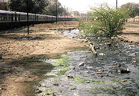Tracts along the railway track present a sore sight.
