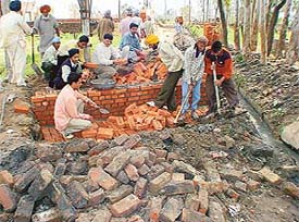 Villagers perform kar seva to build a causeway at Mullanpur Garibdass village 