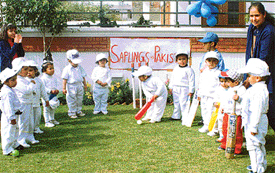 Budding Sachins of Saplings Nursery School, inspired by the Little Masters performance