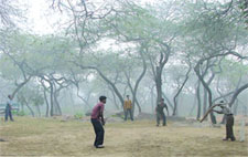 Young cricketers at it in the wee hours