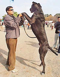 Pankaj Sharma