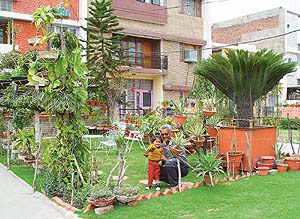 Dr. V.P. Sood, a medical practitioner and an avid lover of flowers and foliage