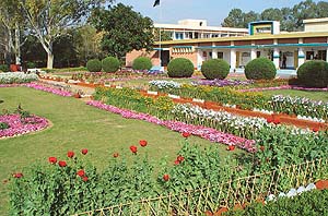 The officers of Western Command Signal Regiment have left no stone unturned to create a picturesque view