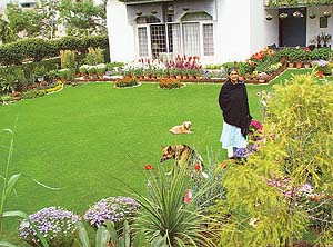 ‘My garden is a perfect example of the fact that hard labour never goes unrewarded’