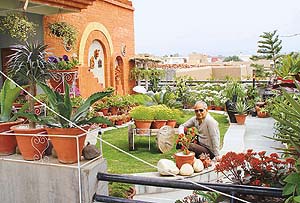 Constraint of space did not deter Dr. Sanjay Kalra’s passion for the greens