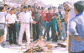 Students of DAV College of Engineering and Technology, Kanina, burn effigy of the principal as part of their strike on Thursday