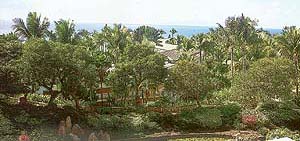 The paradise island called Maui