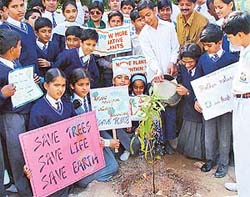 Save trees