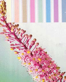 The pastels that will rule the season