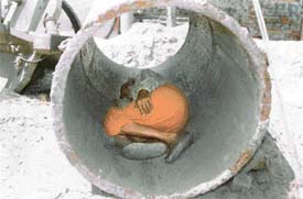 LIFE IN THE HOLE