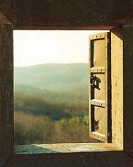 Opening the door of perception