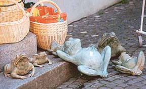 A study in still life