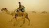 photo03