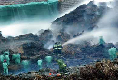 Chinese firefighters and workers use hoses to douse burning reeds after lightning struck a paper mill