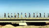 photo10