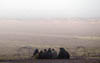 photo14