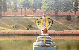 Beside the temple, Mucalinda Lake is the abode of Snake King 