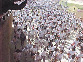 Run for Health: Participants at the Real Active Nike Health Run 2003 on the eve of World Health Day in the Capital on Sunday. Photo by Anil Sharma