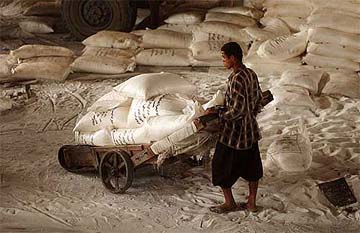 An Iraqi man loots sugar from a warehouse in Basra 