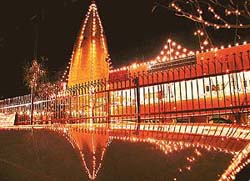 DIVINE LIGHTS
