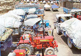 Farmers from the region throng the citys Sector 26 market with vegetables loaded on tractor-trailers 